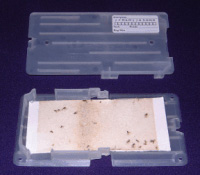 D-Sect Trays